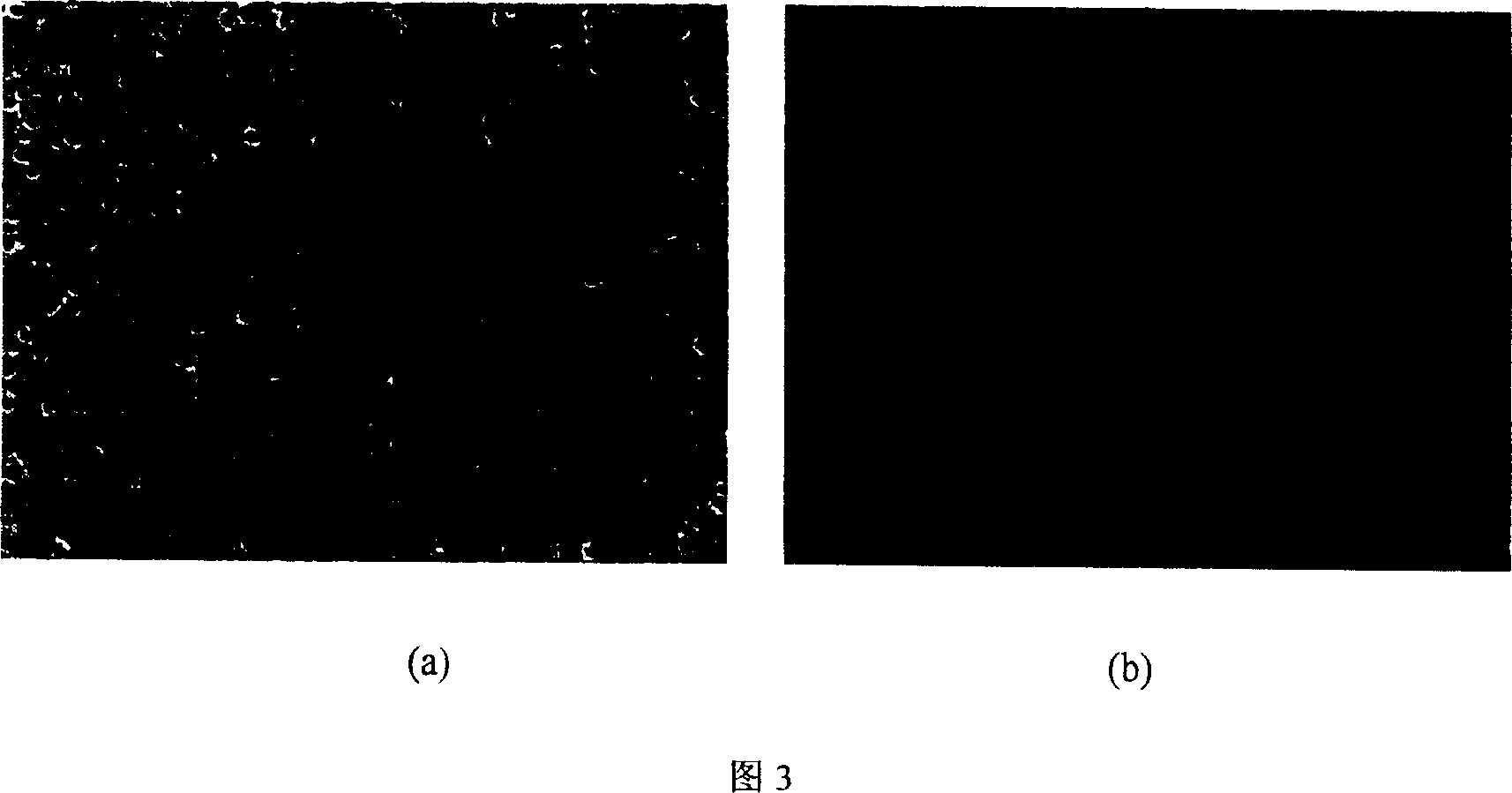 Polymer microporous modification by corona induced grafting technology