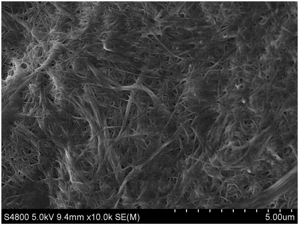 Preparation method and application of nanoscale bacterial cellulose membrane