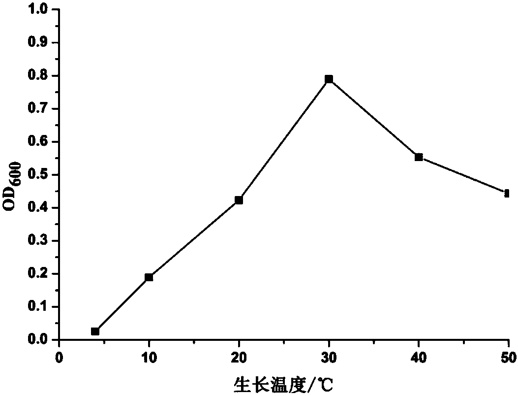Rhizobium capable of efficiently solubilizing phosphorus and application of rhizobium