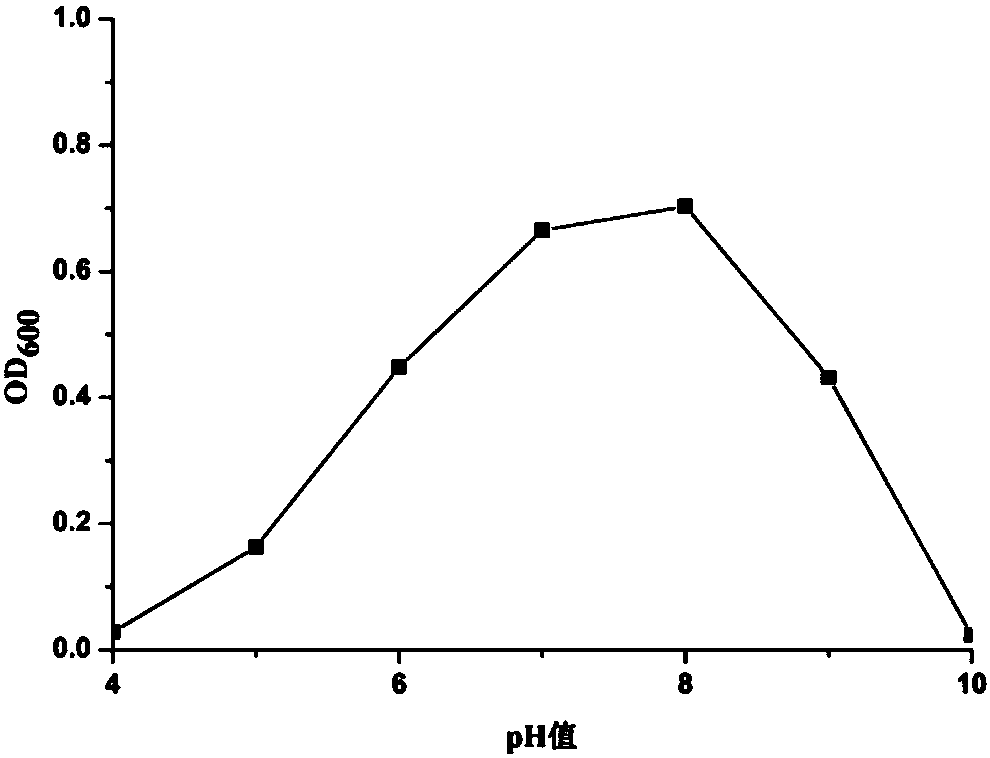 Rhizobium capable of efficiently solubilizing phosphorus and application of rhizobium