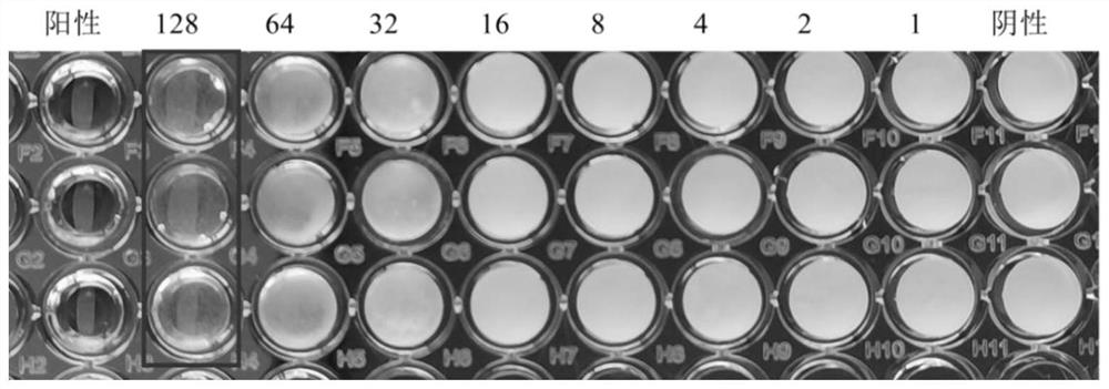 2-amino selenophenes compound and synthesis method and application thereof