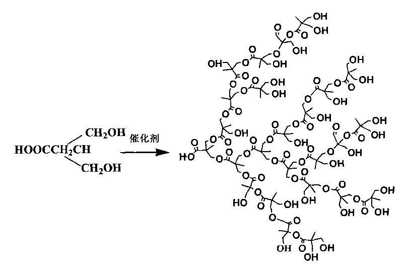 Hyperbranched polymer template material and application thereof in preparing organic nanoparticles