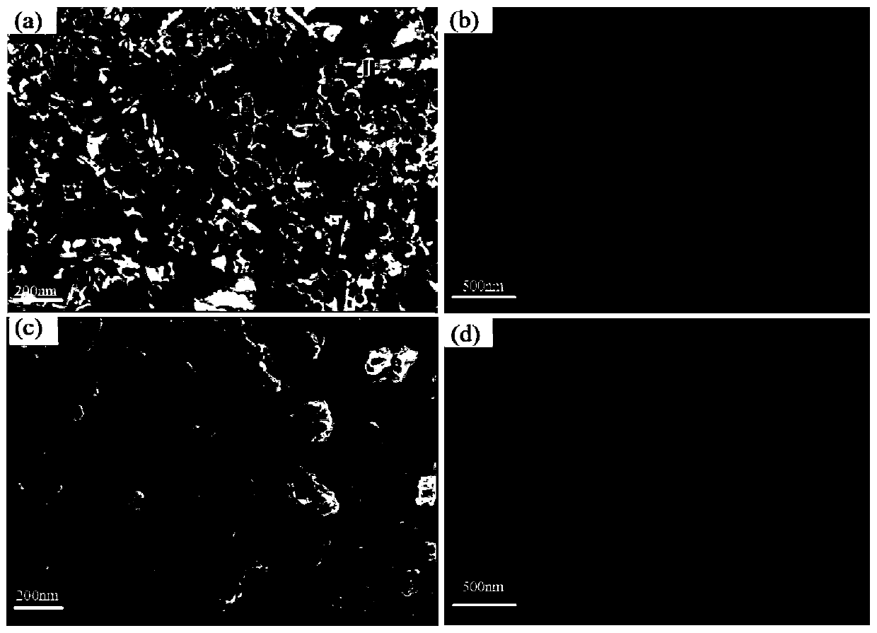 Method for treating antibiotic wastewater by utilizing visible light response semiconductor-MOFs hybrid photoelectrocatalytic material electrode