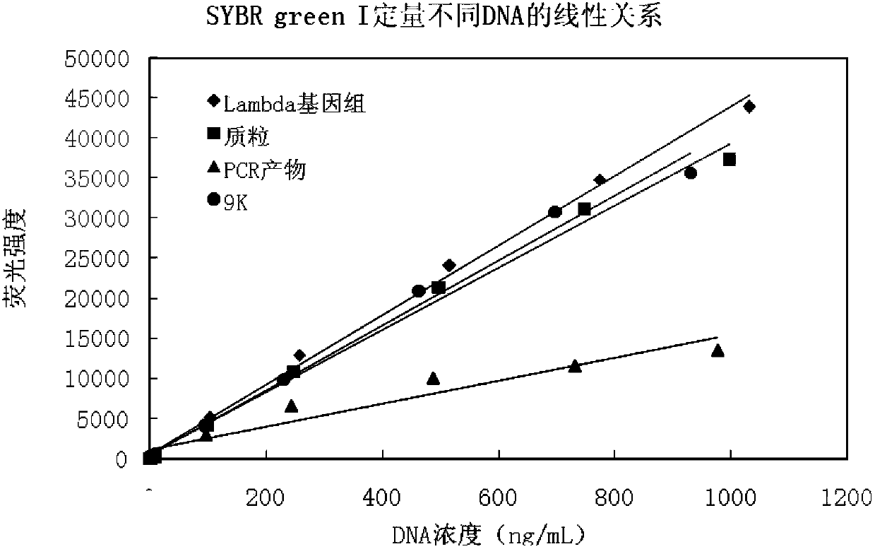 DNA quantitative detection method and kit using SYBR Green fluorescent dye