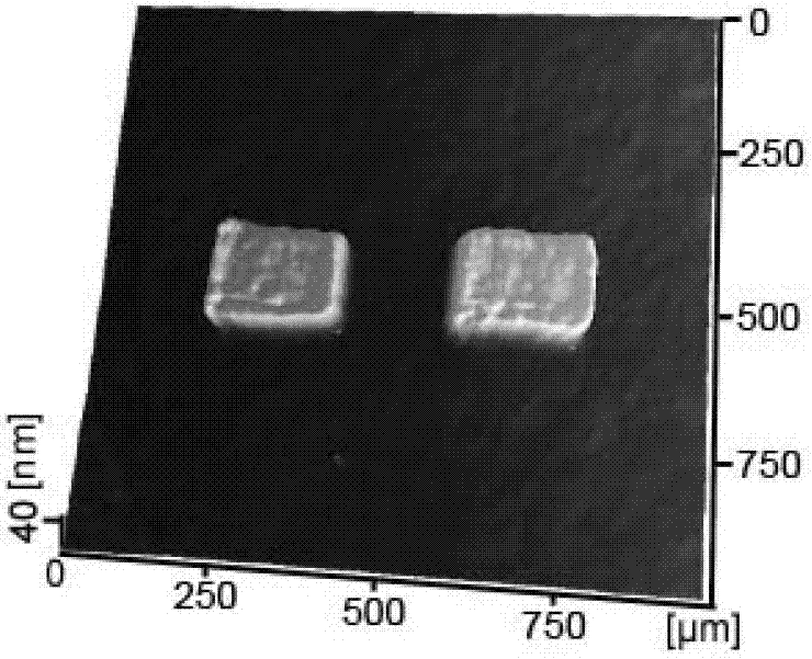 Method for texturing large-area silicon surface in multipoint contact mode