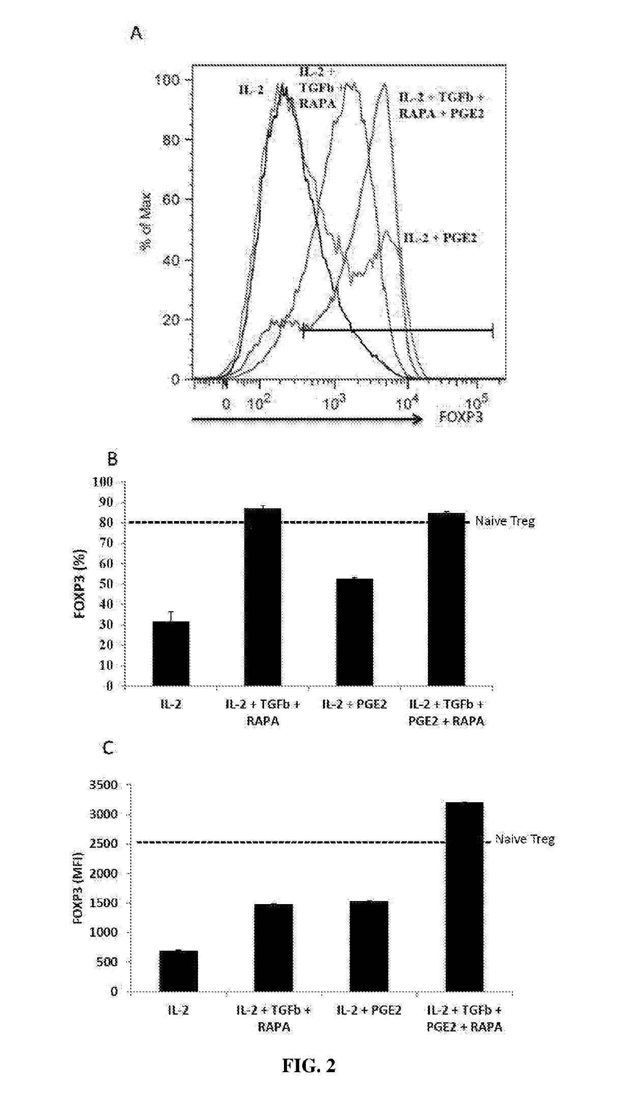 Ex vivo generation of mhcii restricted cd4+foxp3+ regulatory t cells and therapeutic uses thereof