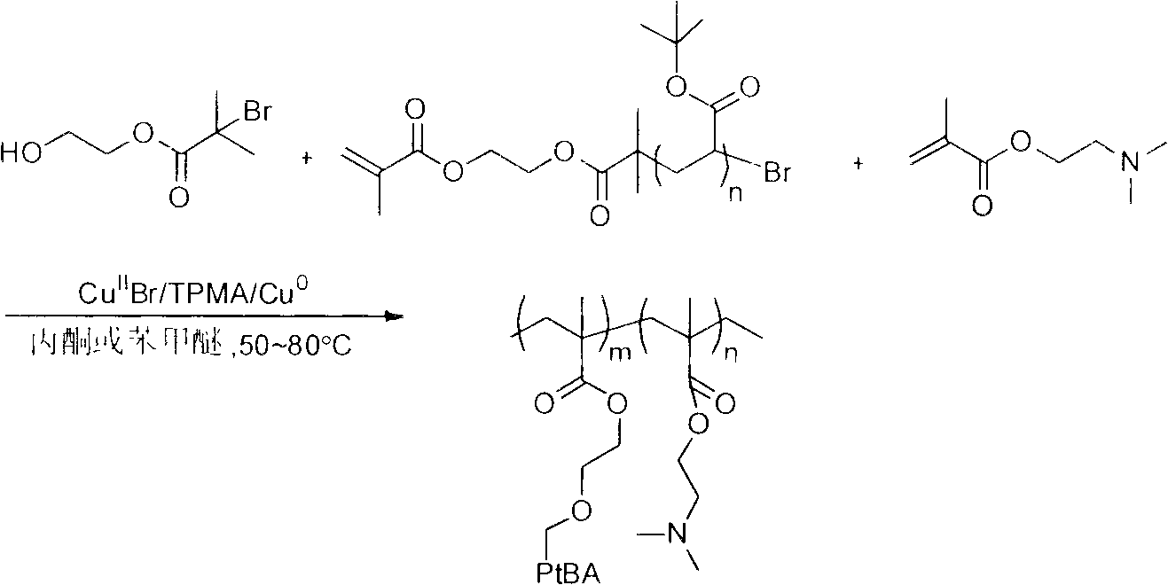 Amphiphilic polymer pigment wetting dispersant for water-based coating and preparation method thereof