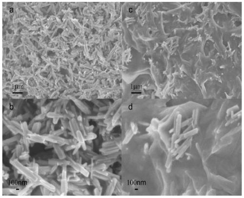 Application of surfactant modified goethite in removal of microcystis aeruginosa