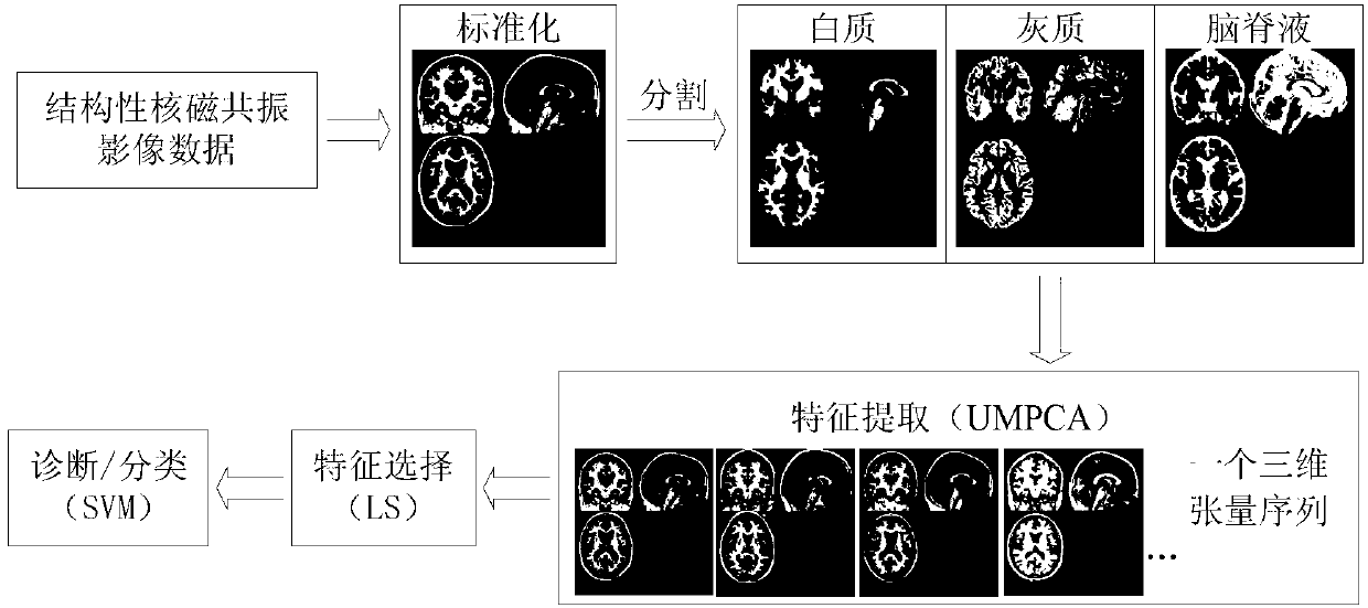 Structural nuclear magnetic resonance image processing method used for Alzheimer disease early detection