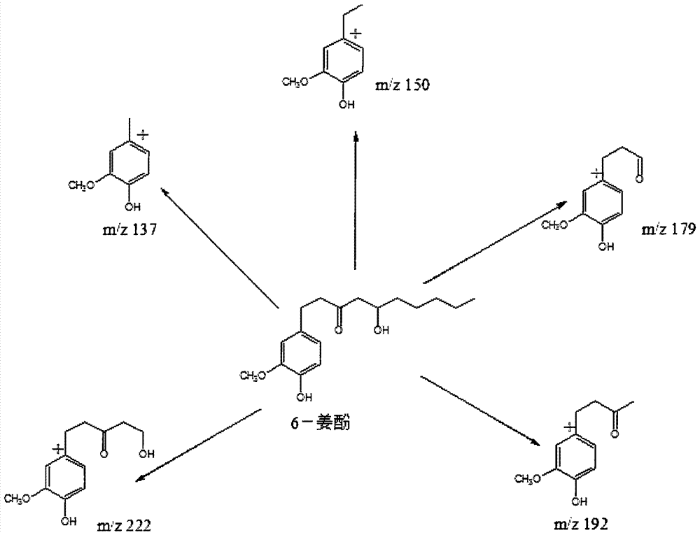 Method for extracting and separating 6-gingerol from ginger