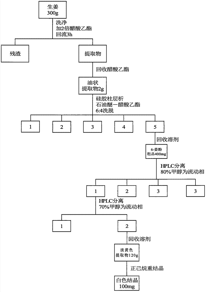 Method for extracting and separating 6-gingerol from ginger