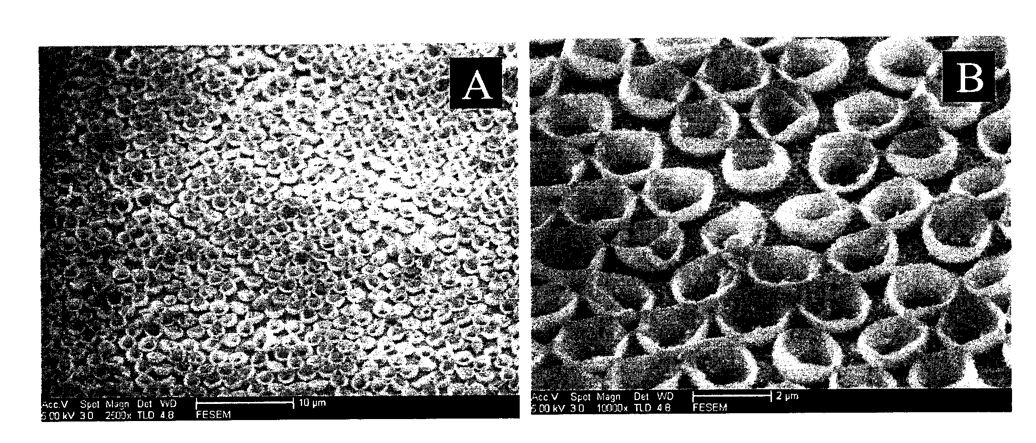 Cobaltosic oxide micro-nano composite structure array and manufacturing method thereof