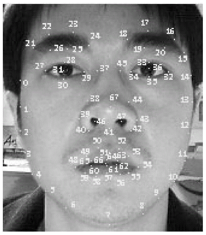 Head Pose Estimation Method Based on Multi-feature Point Set Active Shape Model