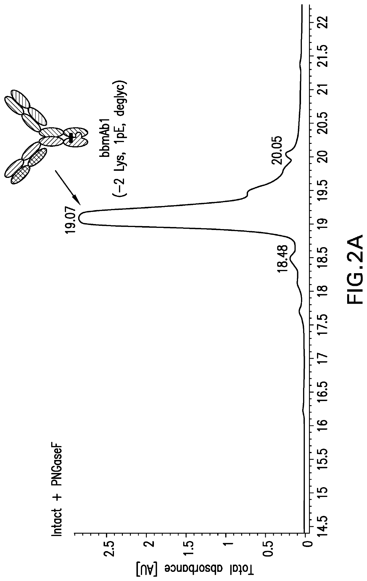 Method of manufacturing bispecific antibodies, bispecific antibodies and therapeutic use of such antibodies