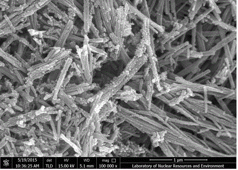 Titanium dioxide nano-particles repairing nanowires heterojunction composite material