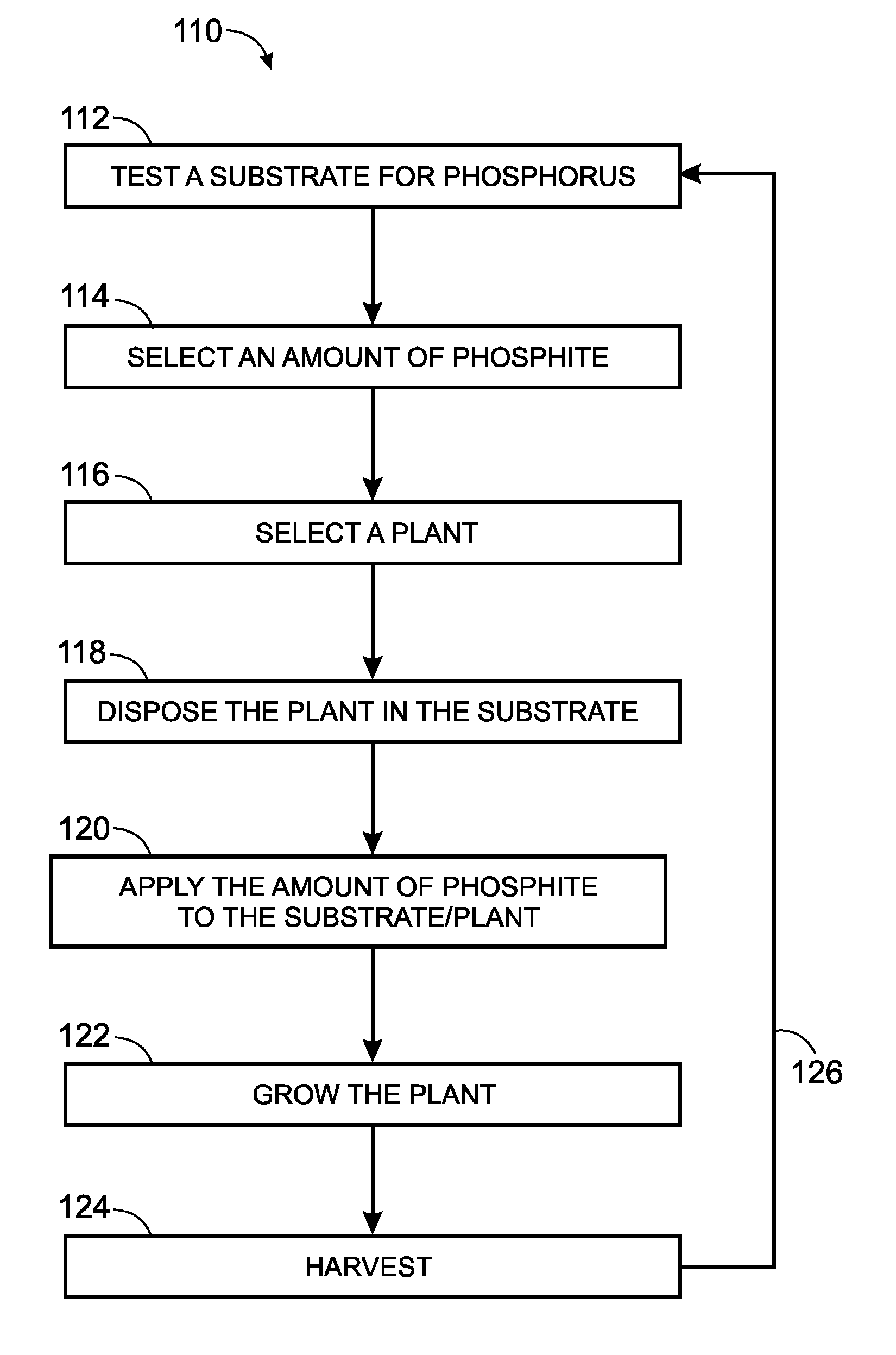 Plant cultivation system utilizing phosphite as a nutrient and as a control agent for weeds and algae