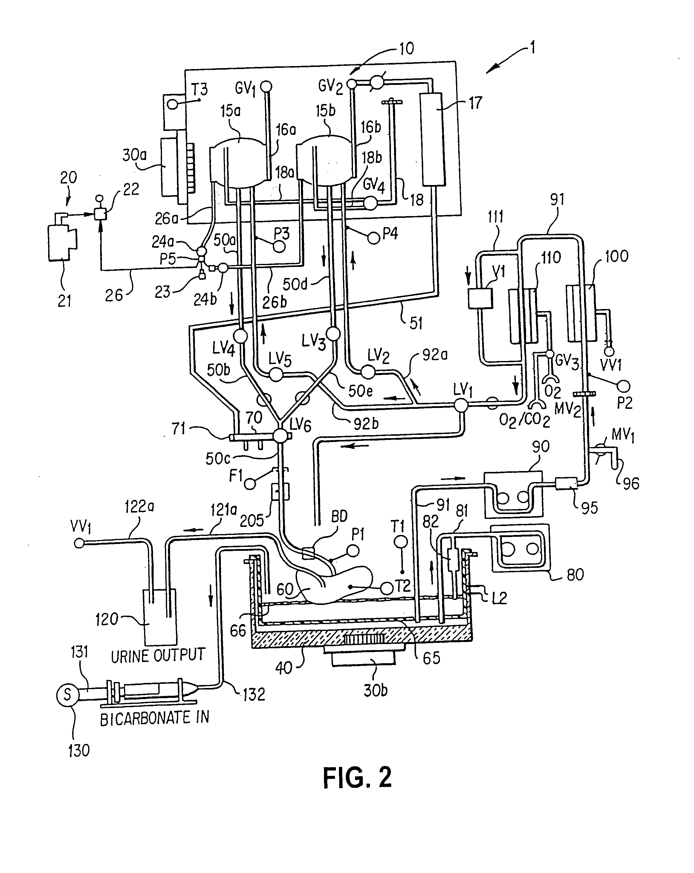 Apparatus and method for perfusing an organ or tissue for isolating cells from the organ or tissue