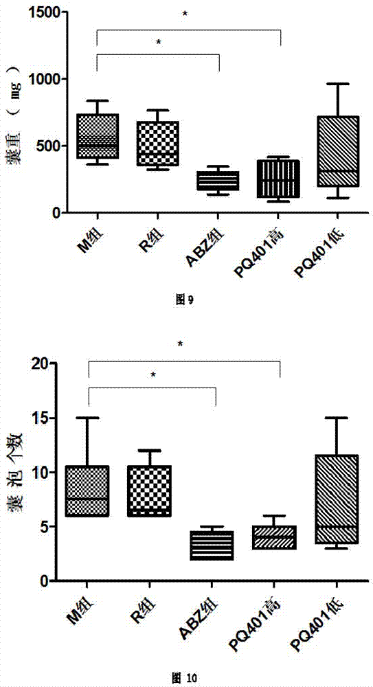 Application of insulin growth factor acceptor inhibitor PQ401 in as medicine for treating echinococcosis granulosa