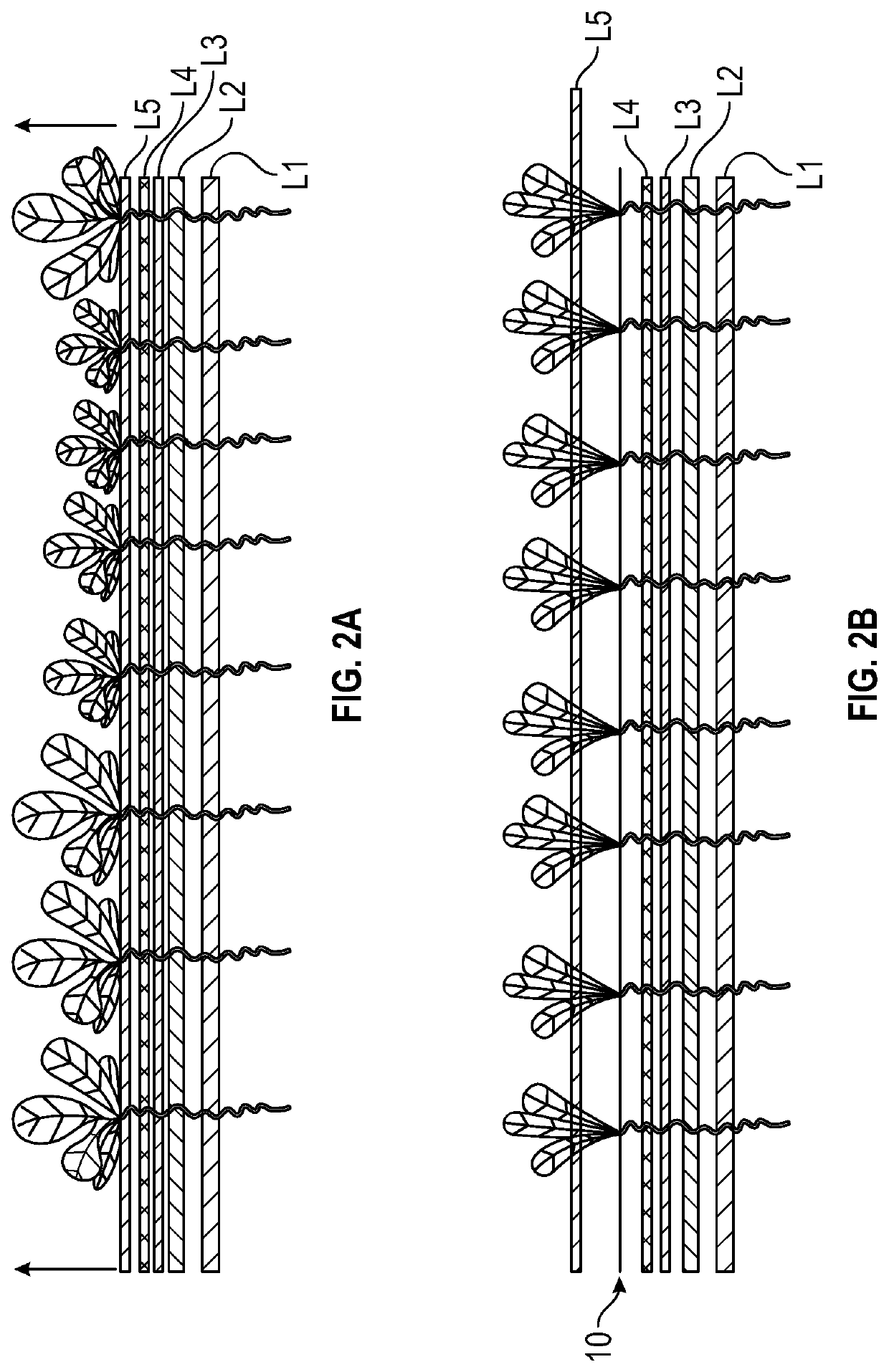 Multilayer Seed Germination and Plant Development Media