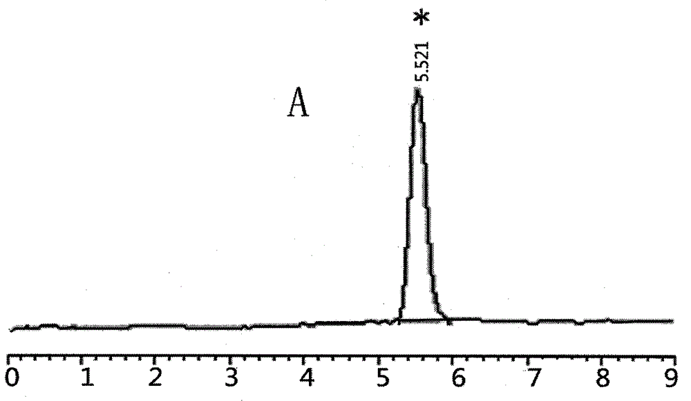 Detection method for medicinal material Ardisia mamillata Hance or extract thereof