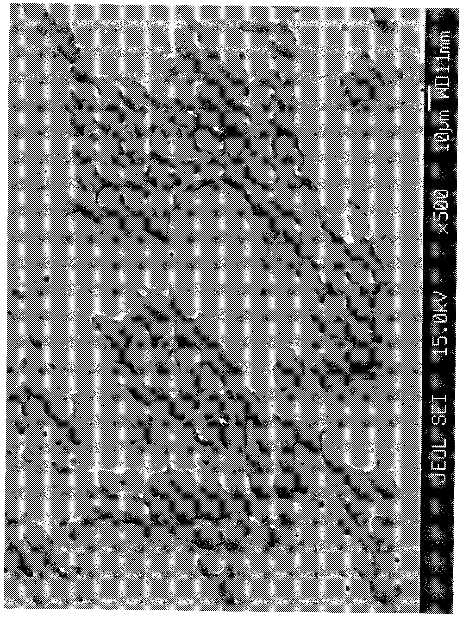 Co-cr-pt-b alloy sputtering target and method for producing same