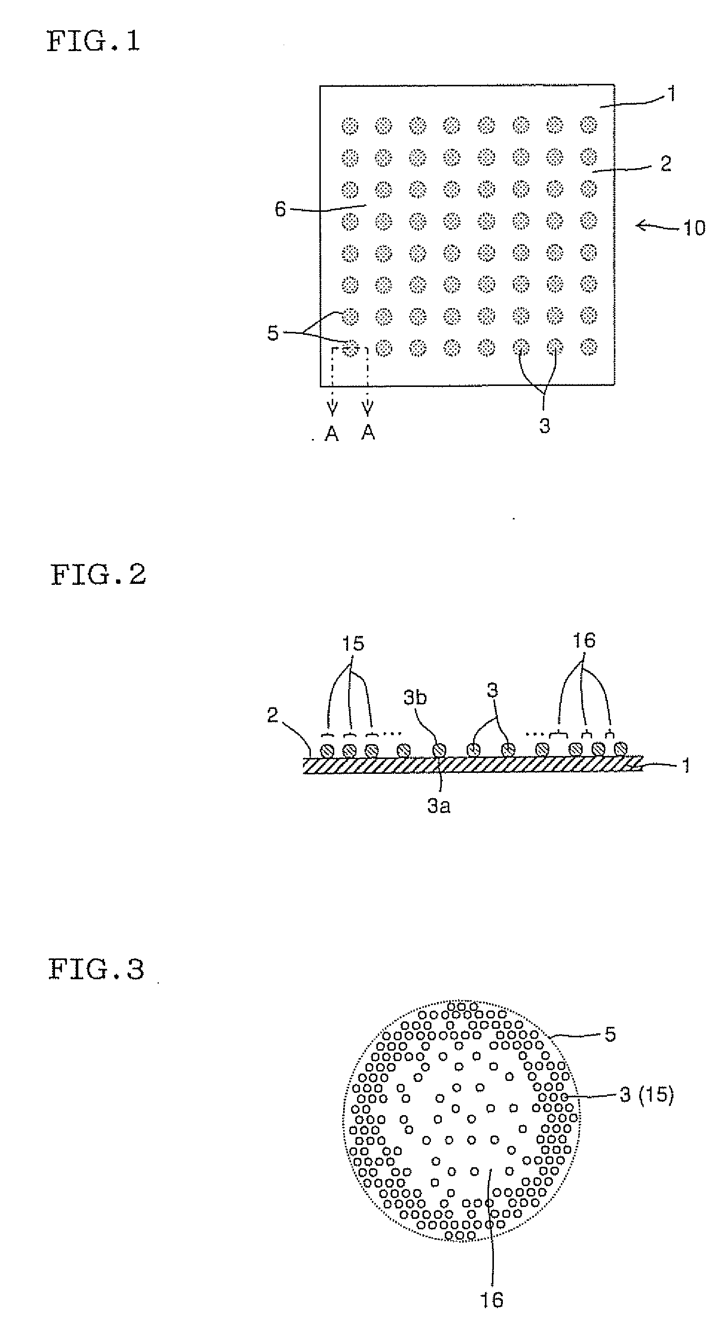Biological indicator and method for producing the same