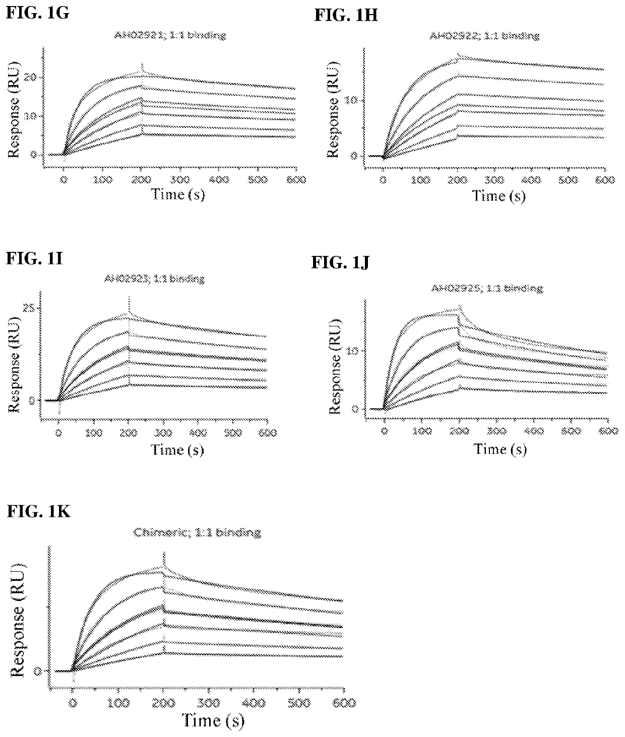 Humanized Anti-human ox40 monoclonal antibody, preparation method therefor and use thereof