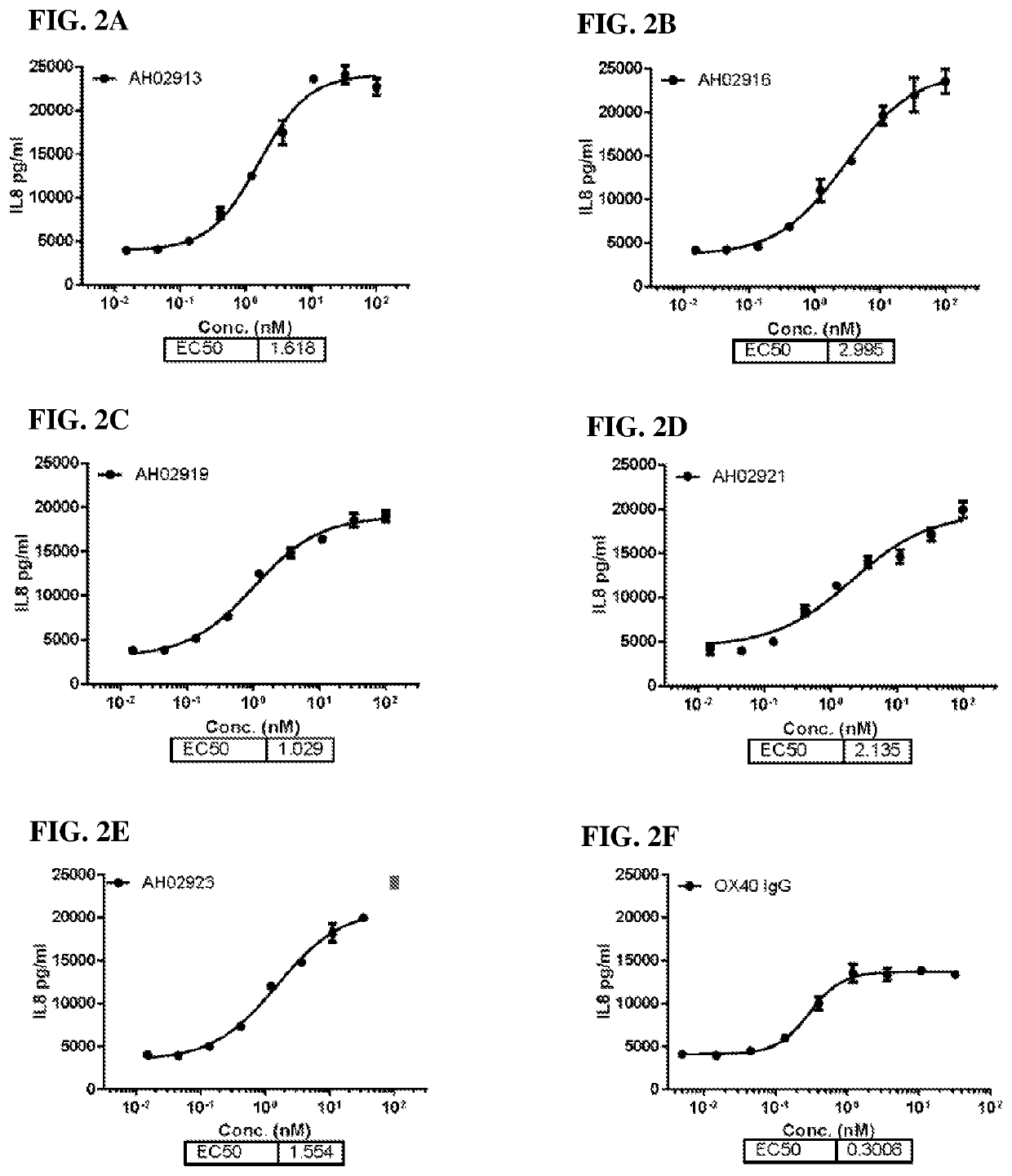 Humanized Anti-human ox40 monoclonal antibody, preparation method therefor and use thereof