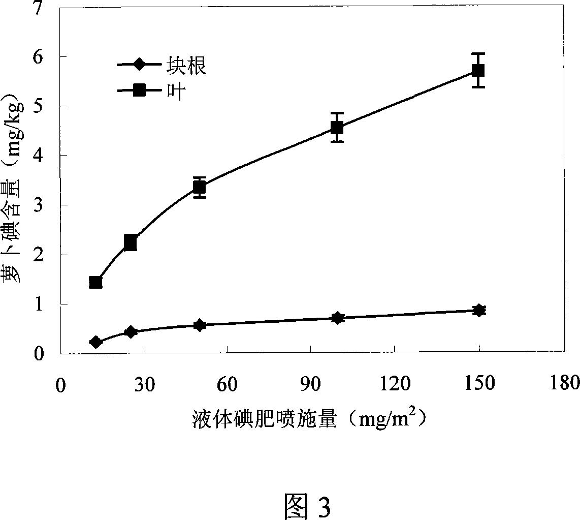 Method for cultivating radish containing natural iodine