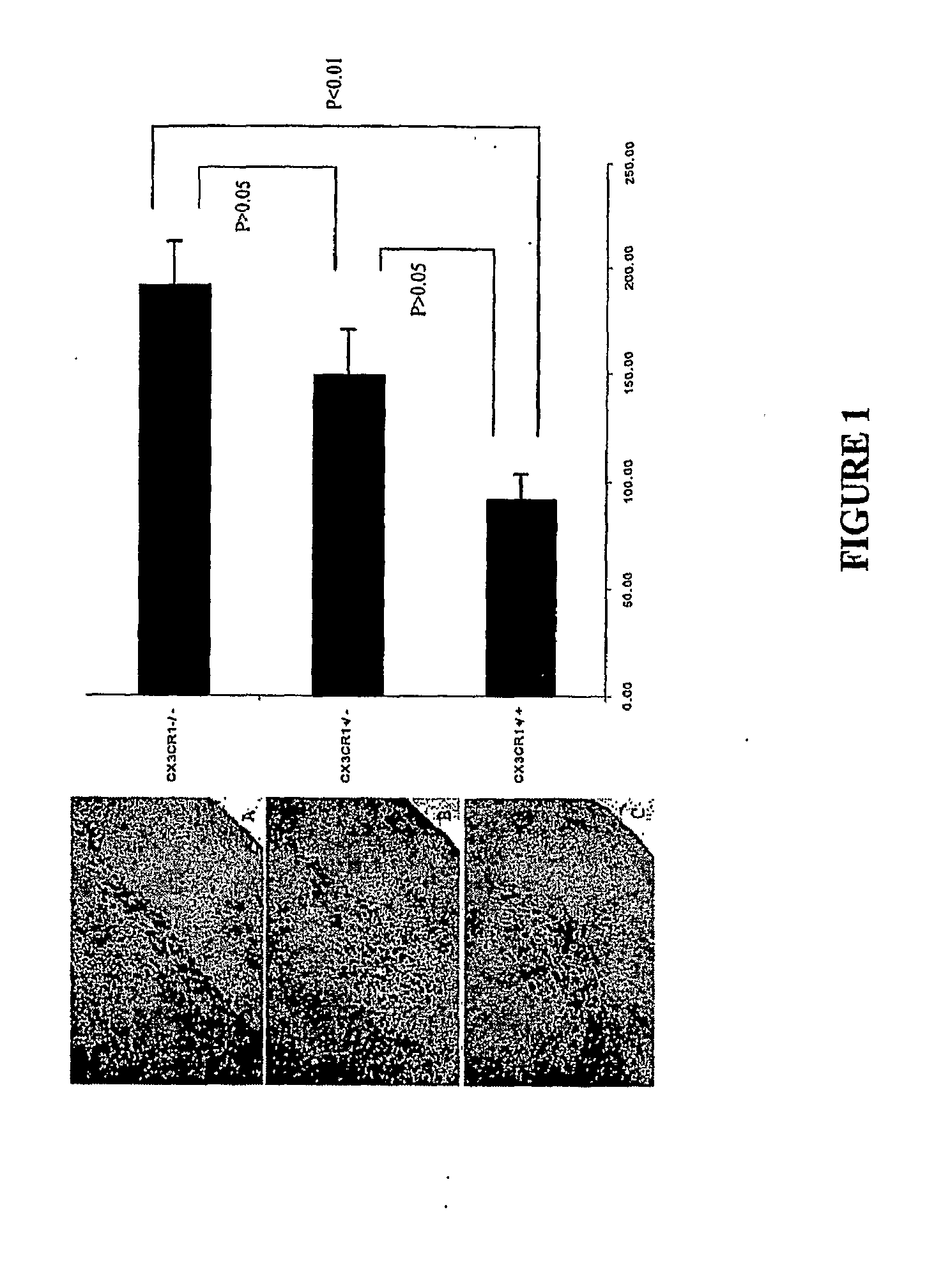 Methods and compositions for regulation of neurological conditions