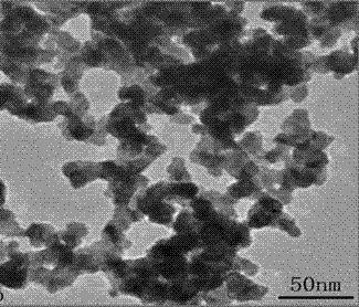 Method for preparing Pd catalyst with three-dimensional nano meshy structure by reduction of nitrile rubber precursor