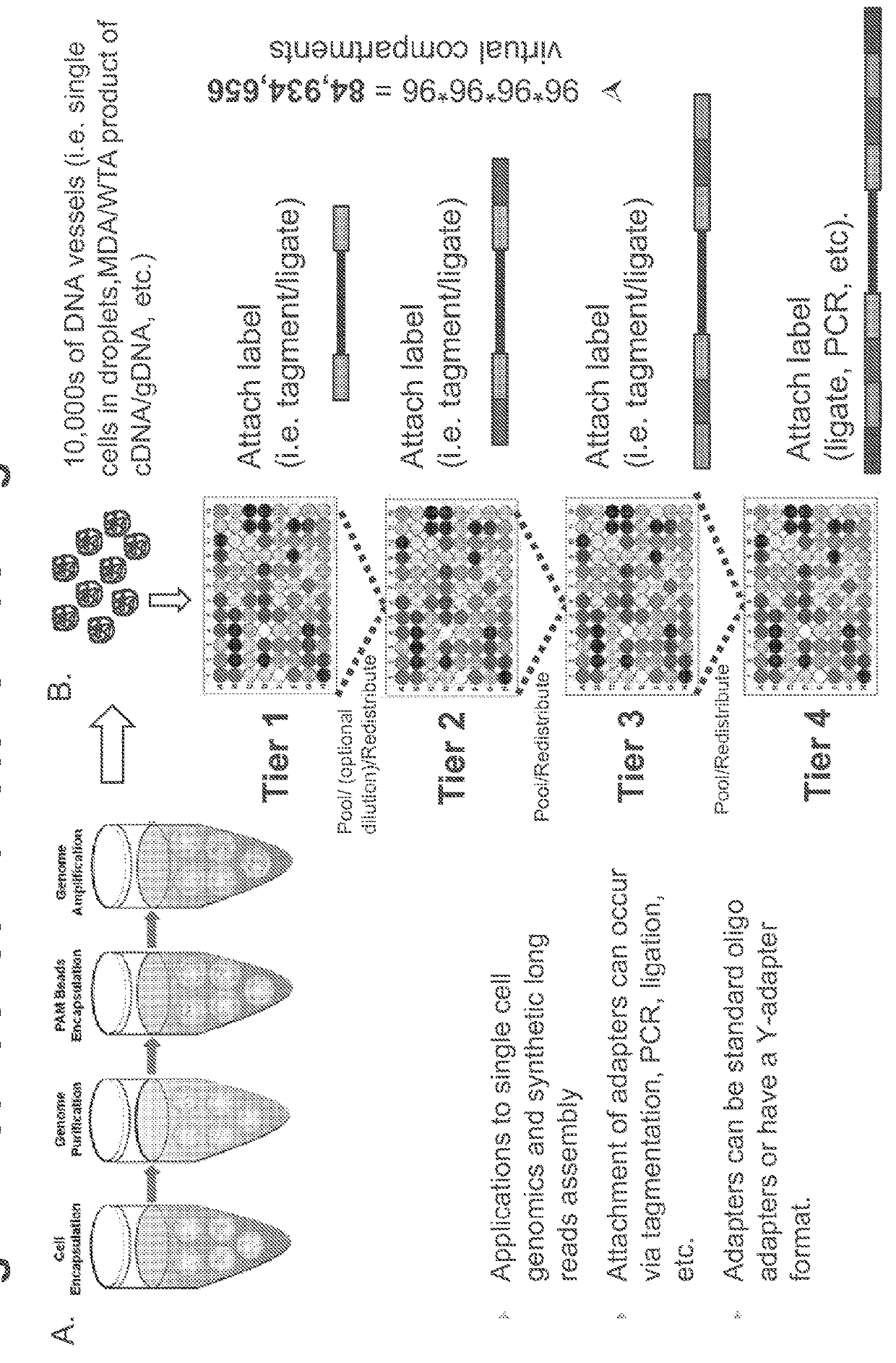 Methods and compositions for analyzing cellular components