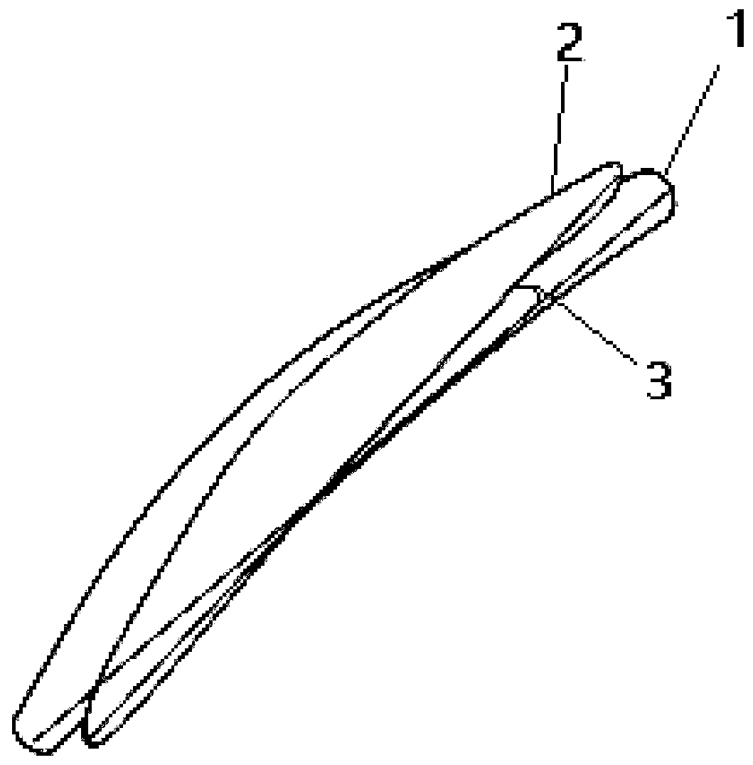 Design optimization method of blisk electrolytic preliminary molding machining path parameters