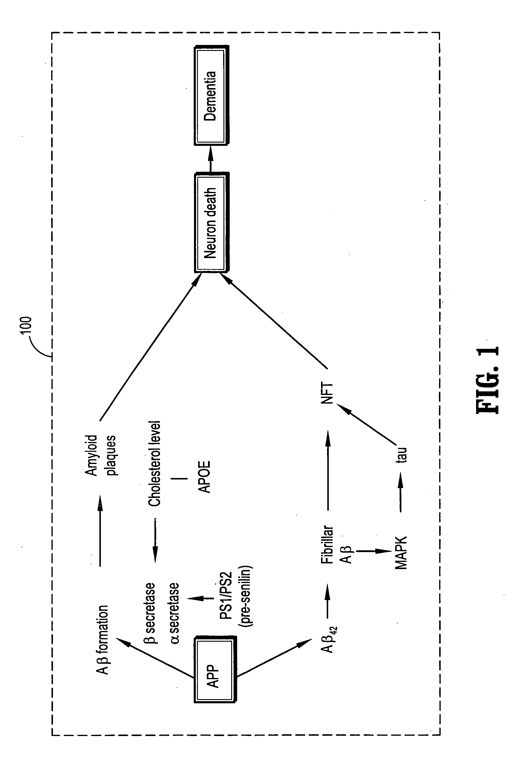 System and method for mild cognitive impairment class discovery using gene expression data