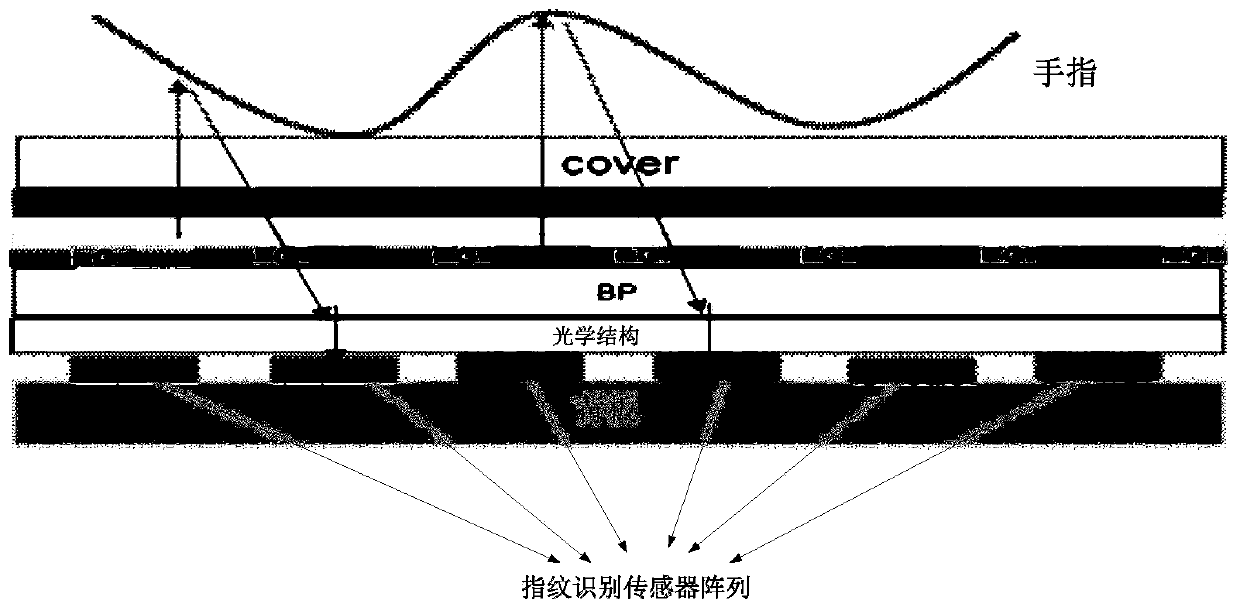 An optical structure fingerprint identification module based on collimated light extraction and a preparation method thereof