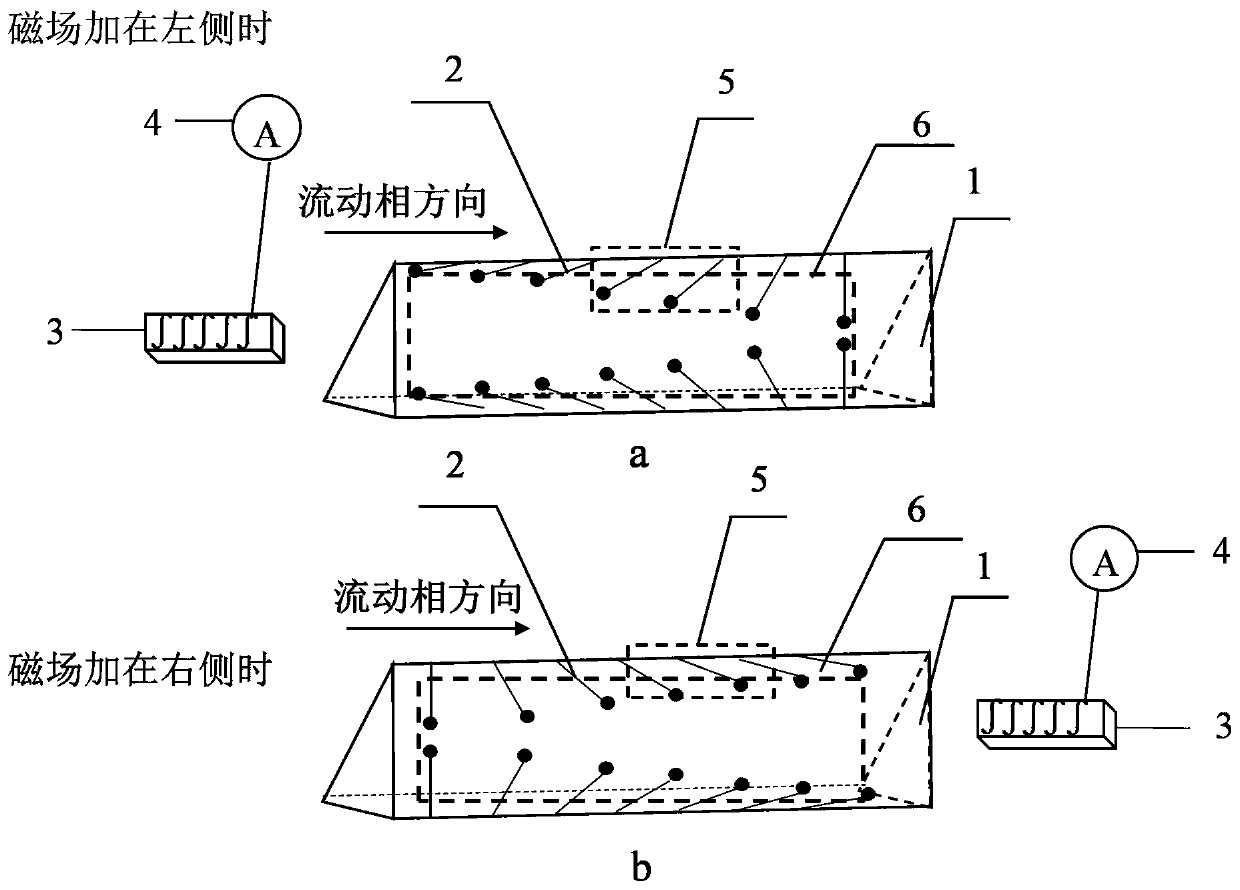 A magnetic field-assisted microfluidic carbon nanofiber size exclusion chromatography separation method