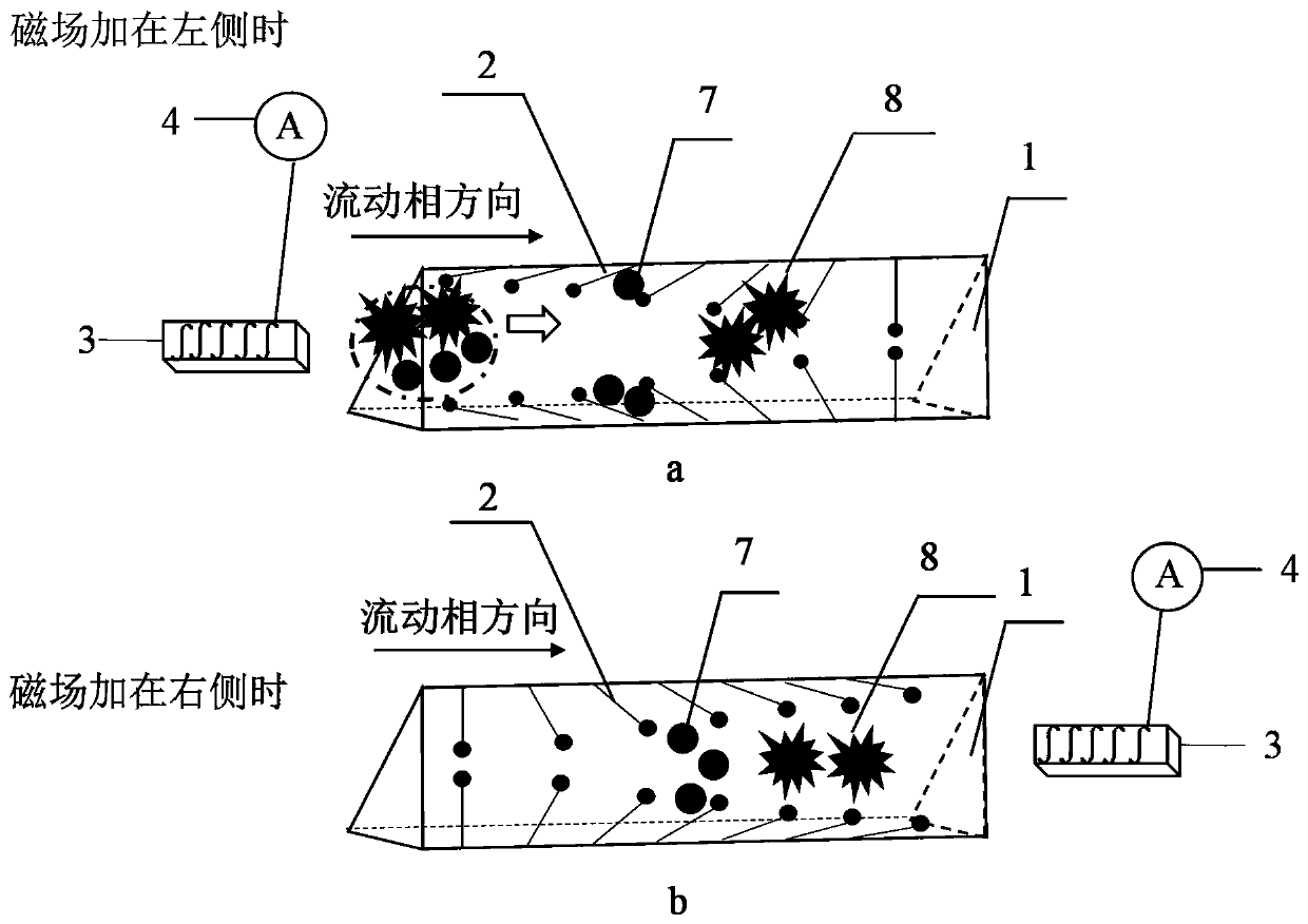 A magnetic field-assisted microfluidic carbon nanofiber size exclusion chromatography separation method