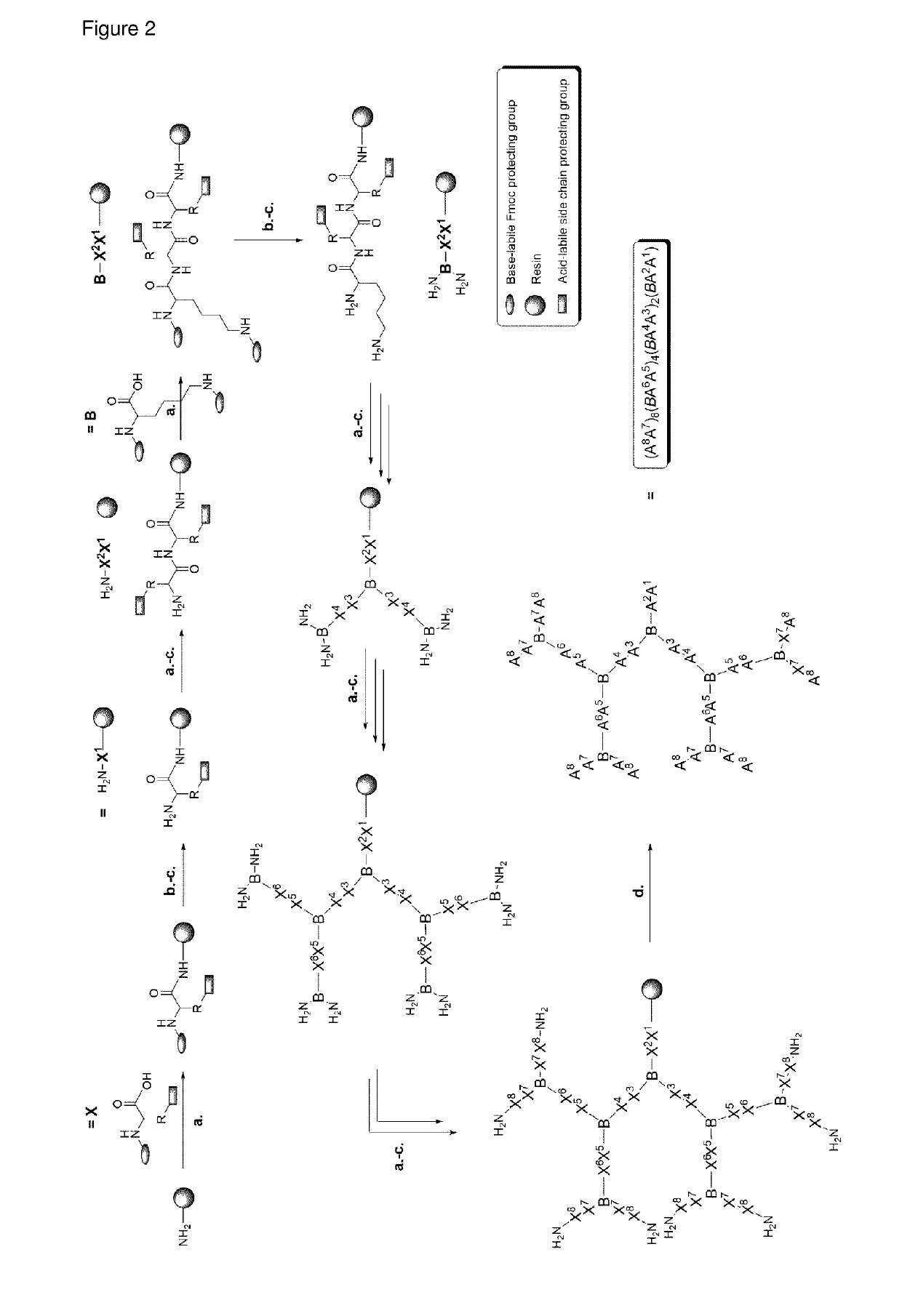 Antimicrobial peptide dendrimers