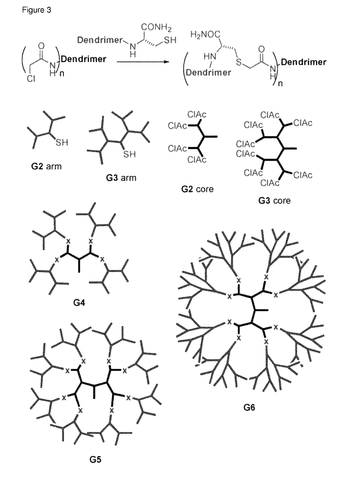 Antimicrobial peptide dendrimers