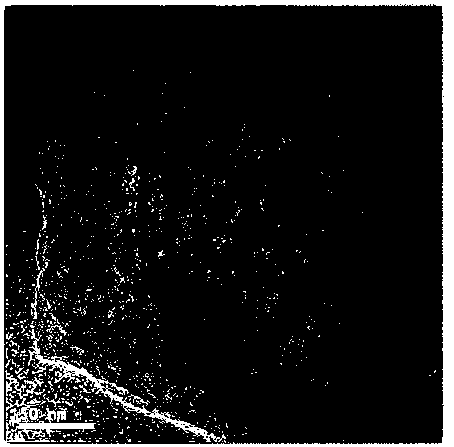 A kind of platinum-antimony alloy embedded in nitrogen-doped porous hollow carbon catalyst and its preparation method and application