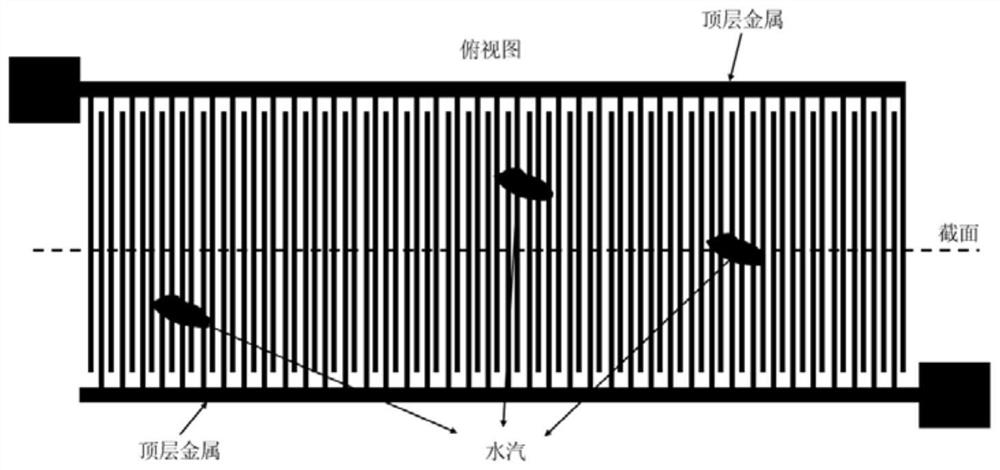 A detection method for wafer passivation layer defects