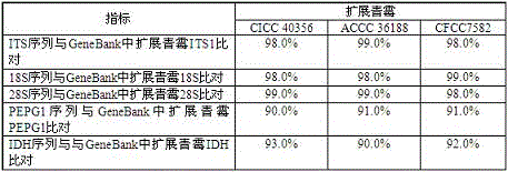 Penicillium expansum nucleotide sequence qualitative standard sample and preparing method thereof