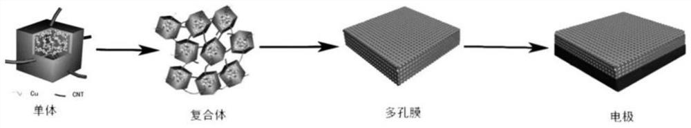 Lithium-sulfur battery negative electrode with high-specific-surface mesoporous protective film as well as preparation and application of lithium-sulfur battery negative electrode