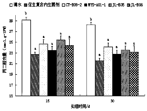 Growth-promoting composite endophytic bacterial agent and application thereof