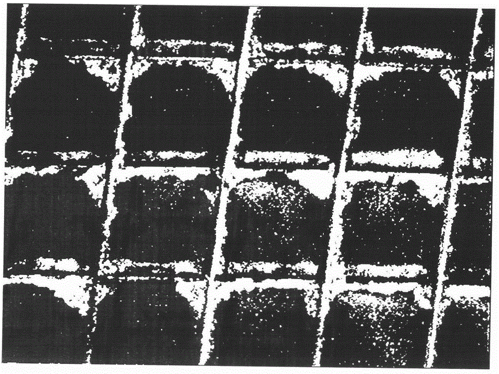 A kind of lithium ion battery and its positive plate