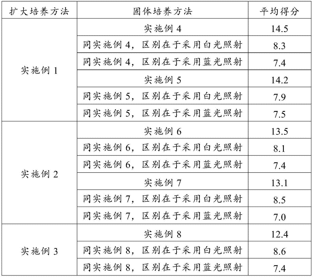 Artificial cultivation method of cordyceps sobolifera