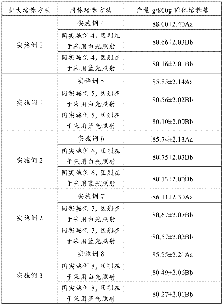 Artificial cultivation method of cordyceps sobolifera