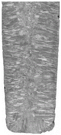 Preparing method for medium-chromium-based ferritic stainless steel low power structure