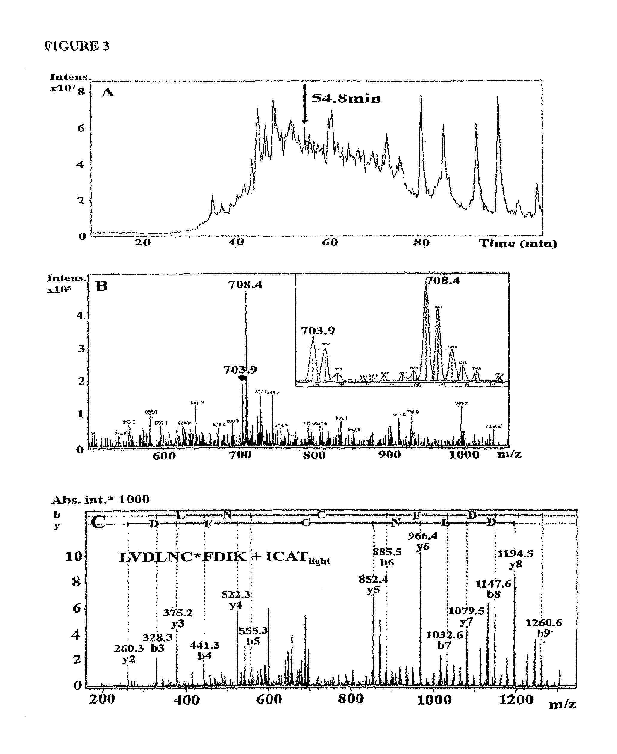 <i>Porphyromonas gingivalis </i>polypeptides useful in the prevention of periodontal disease