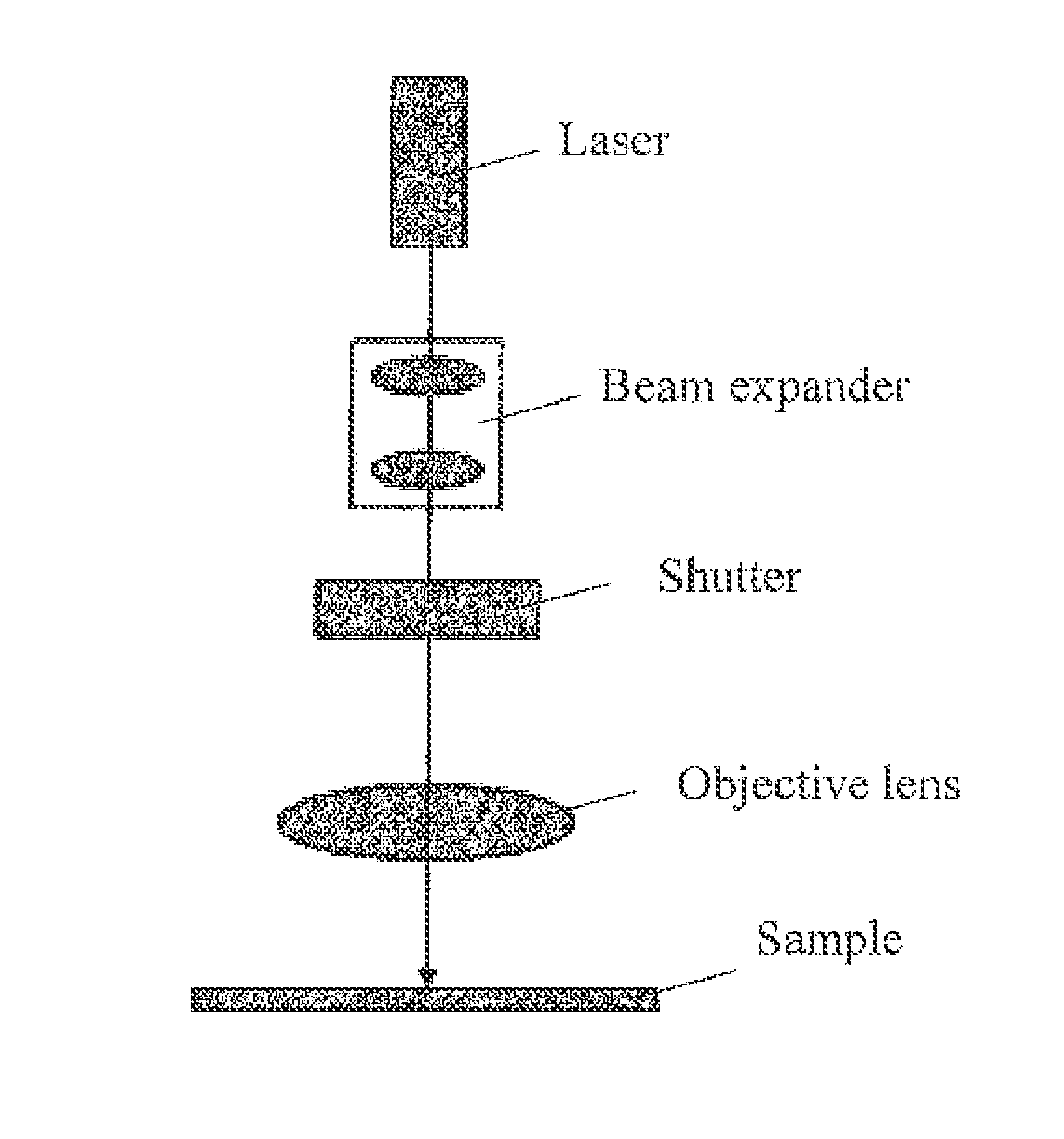 Particulate magnetic recording medium and magnetic recording device